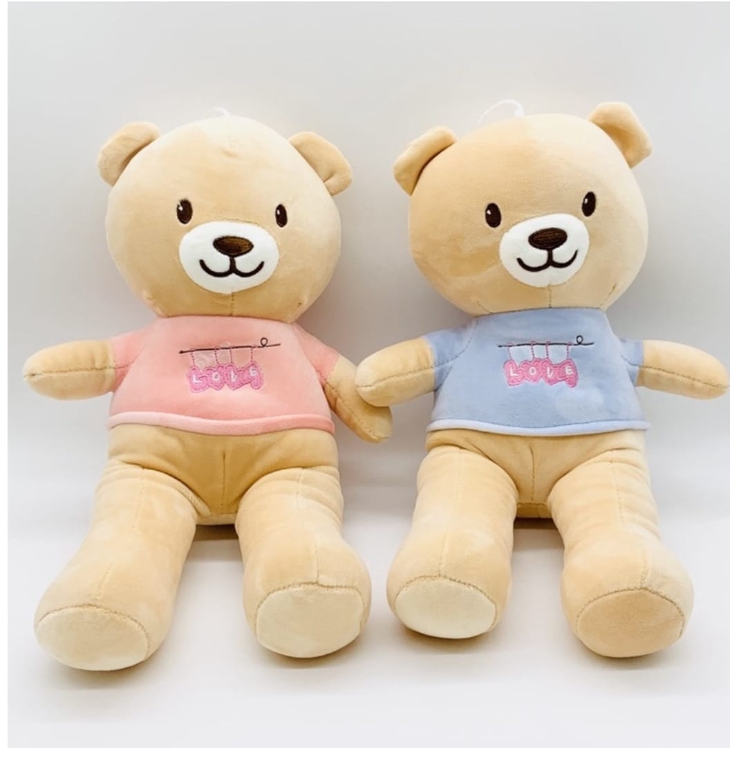T-Shirt Bear - cute t-shirt wearing teddy