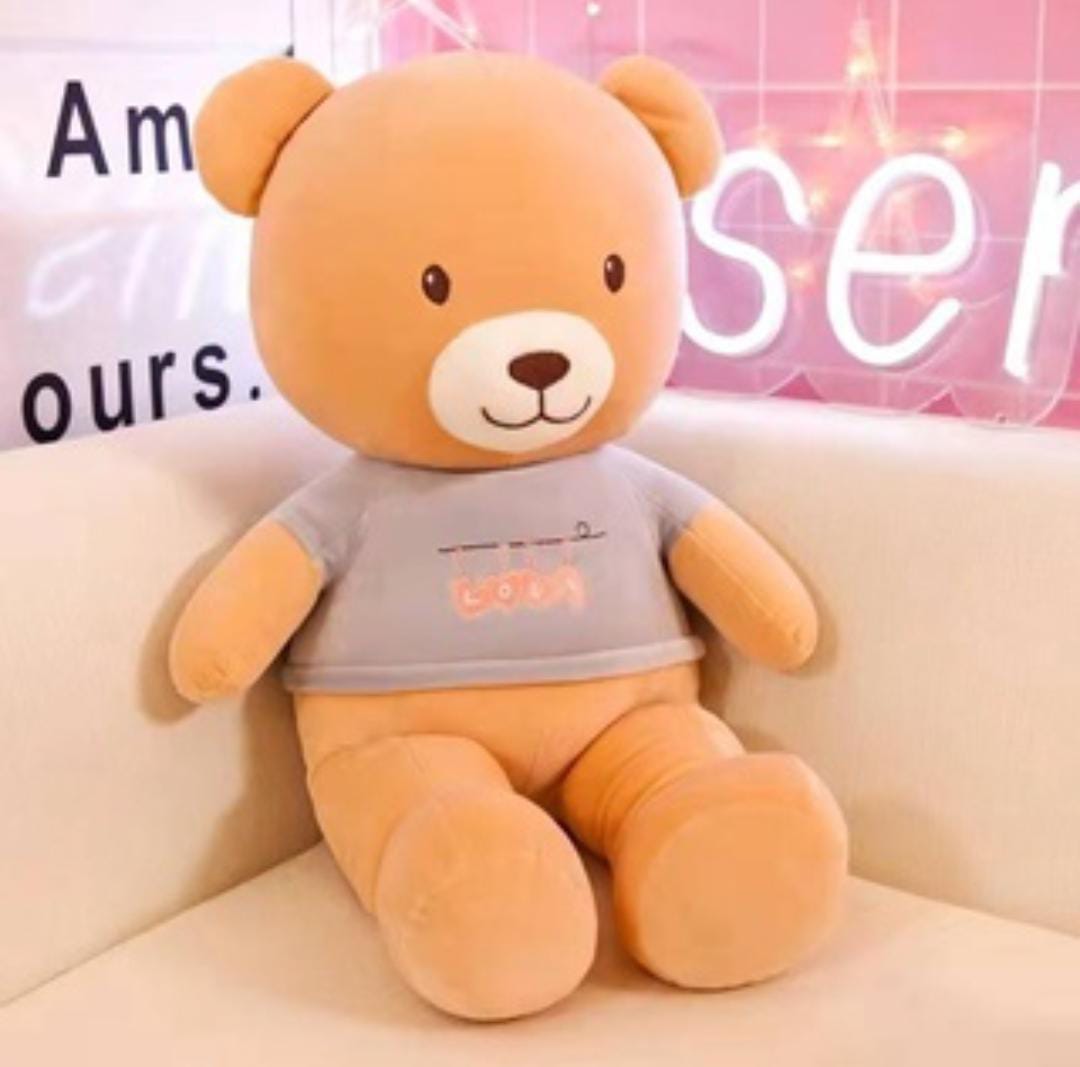 T-Shirt Bear - cute t-shirt wearing teddy