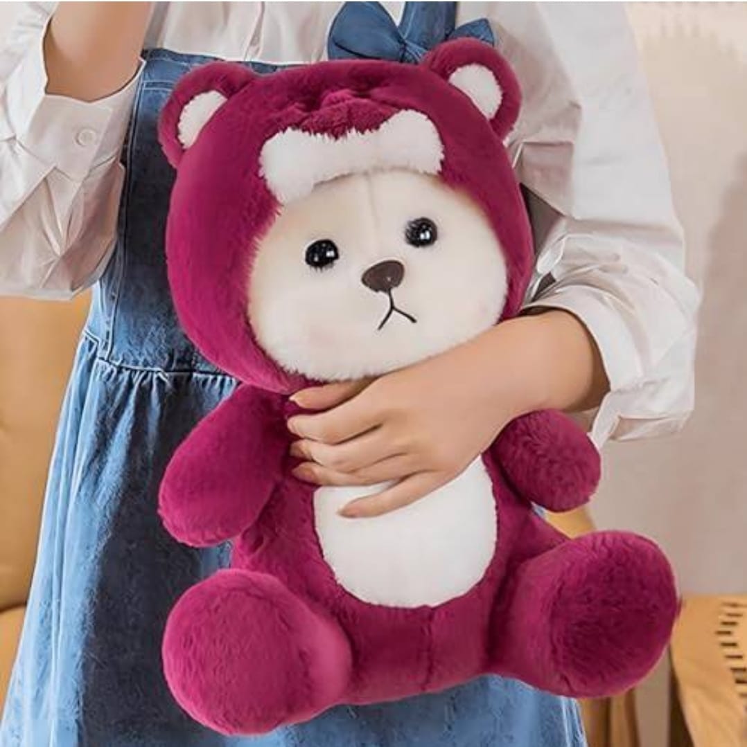 Red Hoodie Bear Plush Cuddle Up in Style! – - Main Image