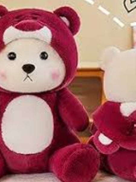 Red Hoodie Bear Plush - Cuddle Up in Style! 45cm