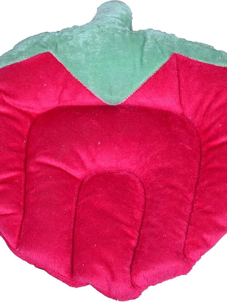 Cartoon shaped Rai Takiya