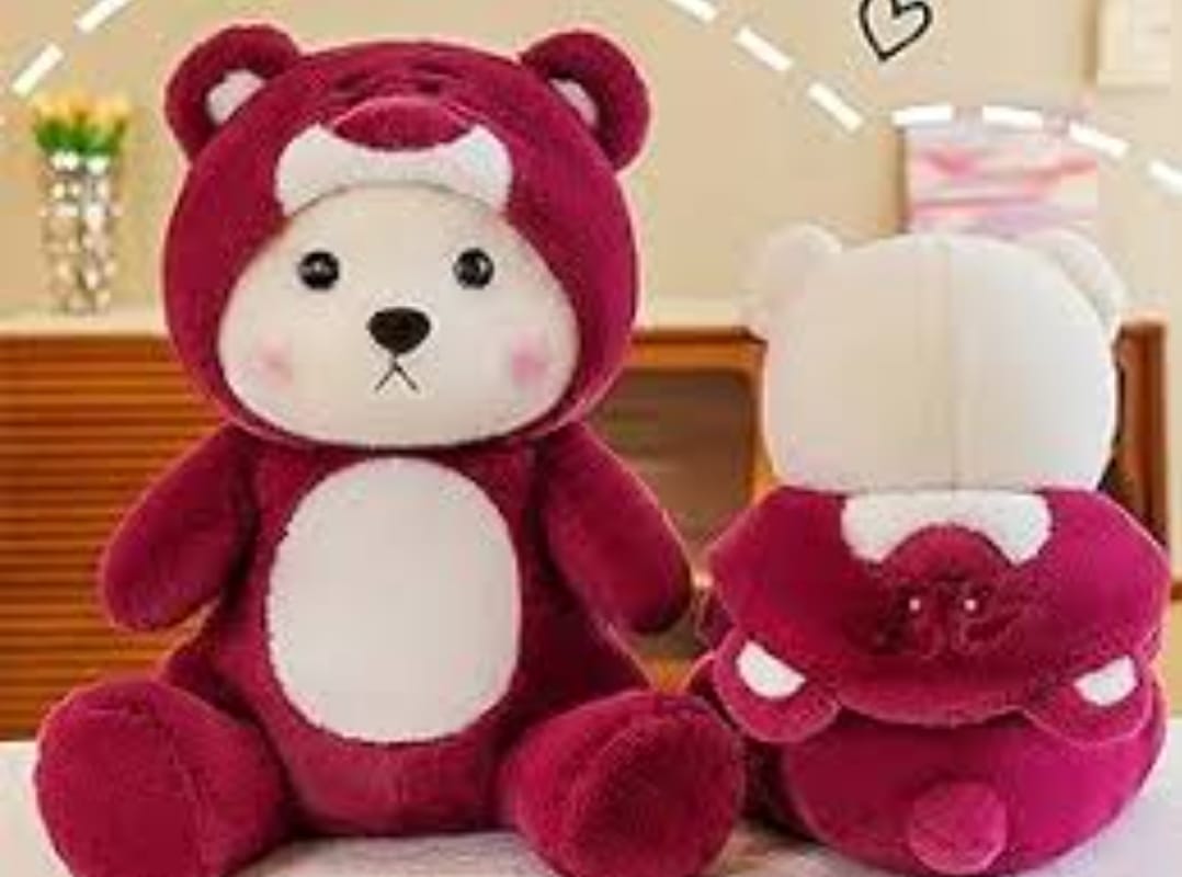 "Red Hoodie Bear Plush - Cuddle Up in Style!